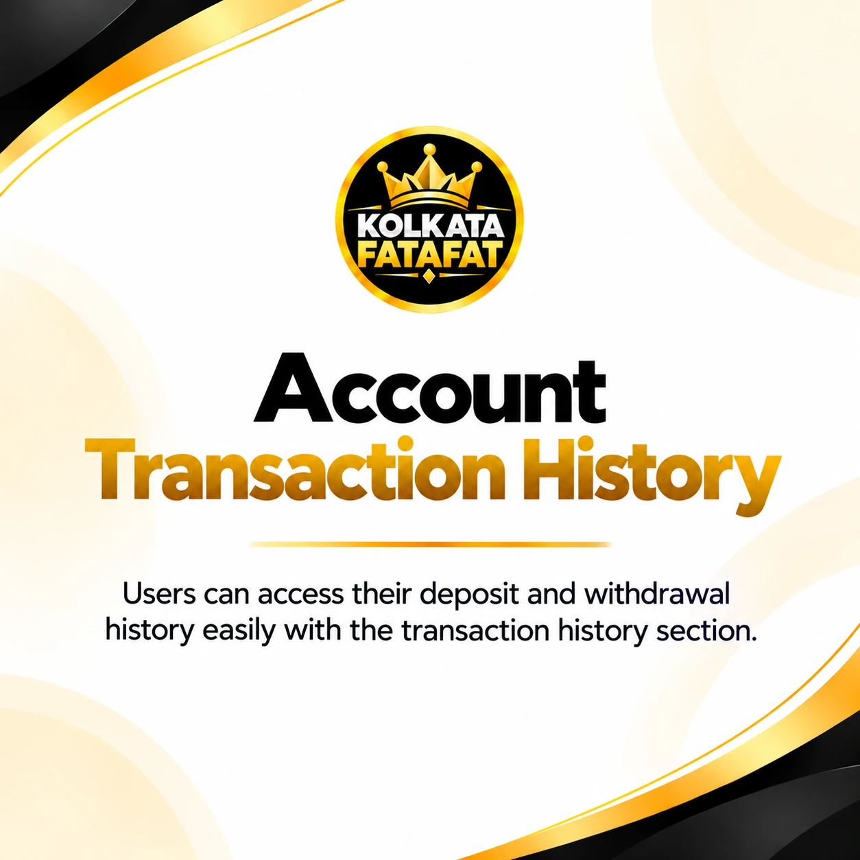Account transaction history information
